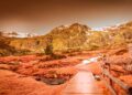 Explora los Parques Naturales en Madrid: Un Encuentro con la Naturaleza