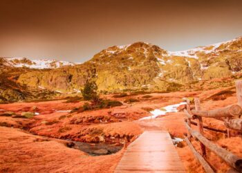 Explora los Parques Naturales en Madrid: Un Encuentro con la Naturaleza