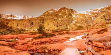 Explora los Parques Naturales en Madrid: Un Encuentro con la Naturaleza