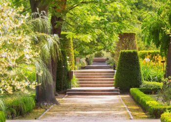 Los mejores parques en Madrid: una guía para turistas