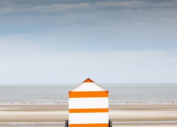 Descubriendo la Calle de Bares de Granada: Una ruta gastronómica imperdible