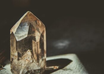 Descubre el Significado del Símbolo del Autobús: Un Viaje al Conocimiento