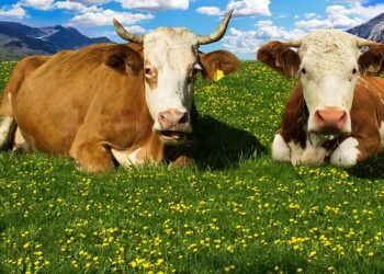 Londres vs Madrid: ¿Cuál es la ciudad más grande?