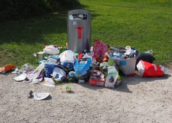 Los Habitantes de La Línea de la Concepción: Descubre su Identidad