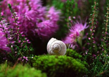 Descubriendo al dueño actual de Marina d'Or: ¡Sorprendentes revelaciones!