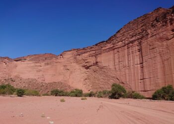 Guía rápida: cómo llegar a Tabarca desde Benidorm