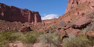 Viajar en tren de España a Oporto: Guía práctica