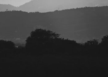 CaixaBankWallet: Descubre cómo funciona esta innovadora herramienta