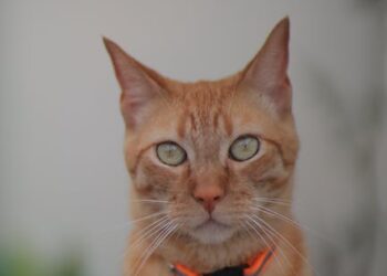 ¿Por qué la soledad me deprime? Descubre las causas y soluciones