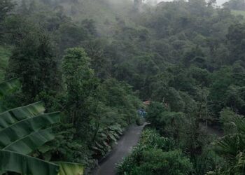 Mejores zonas con buen clima en Palma de Mallorca