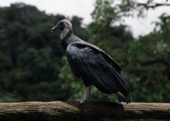 La temperatura en La Coruña hoy: ¿Cuántos grados?