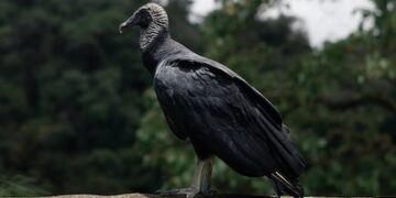 La temperatura en La Coruña hoy: ¿Cuántos grados?