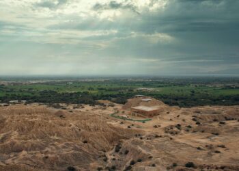 Descubre el Costo de los Free Tours: ¡No te lo puedes perder!