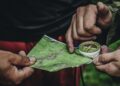 Requisitos para vivir en la India: Cómo prepararse