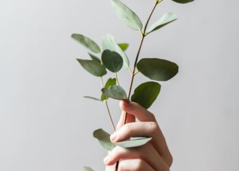 Mejor país de Europa para vivir y trabajar: Datos reveladores