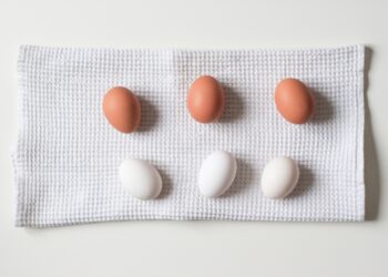 Valencia vs Alicante: ¿Cuál es más caro?