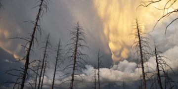 El tiempo en Peñíscola mañana: Pronóstico y detalles