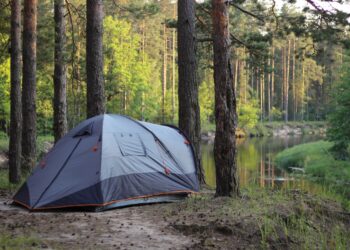 Guía de actividades gratuitas en Madrid el sábado: ¡Descubre qué hacer!