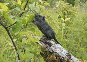 10 consejos para mejorar tu vida social si no tienes una vida social