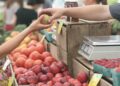 Descubre los distintos tipos de mochilas: Guía completa