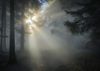 Horario de encendido de luces en Plaza España: ¿A qué hora se ilumina?