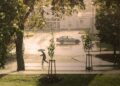 Temperaturas medias en Praga en enero