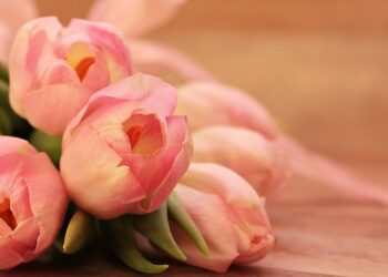 Mejor balneario para artrosis: descubre la solución ideal