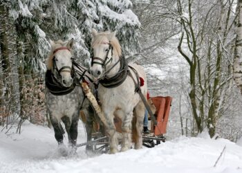 Ruta de Autobús a Plaza Cataluña: Guía para llegar fácilmente