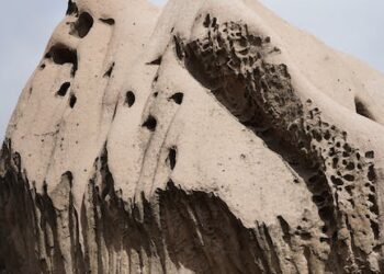 Excursión de un día: ¿Qué es y cómo disfrutarla al máximo?