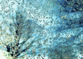 Pronóstico del tiempo mañana en Peñíscola: ¡Descúbrelo aquí!